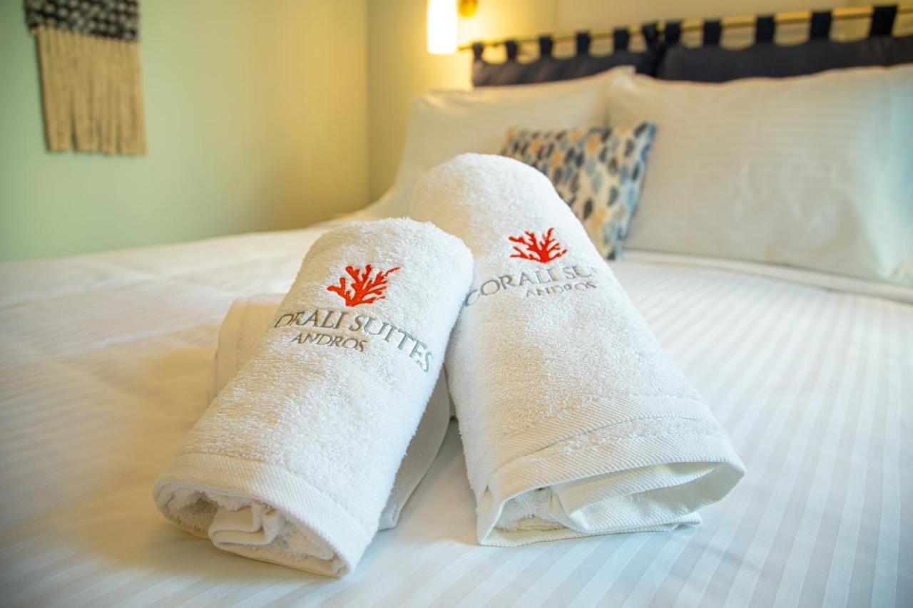 Corali Suites Andros Batsíon Exteriér fotografie